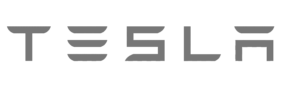 tesla_ilgtermina_noma